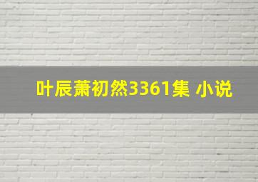 叶辰萧初然3361集 小说